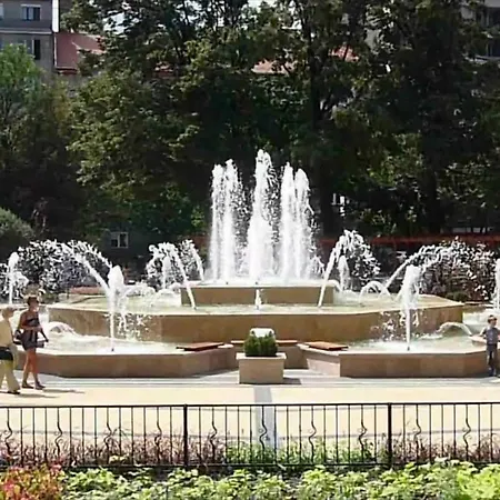 Bright Lights, Big Budapeşte